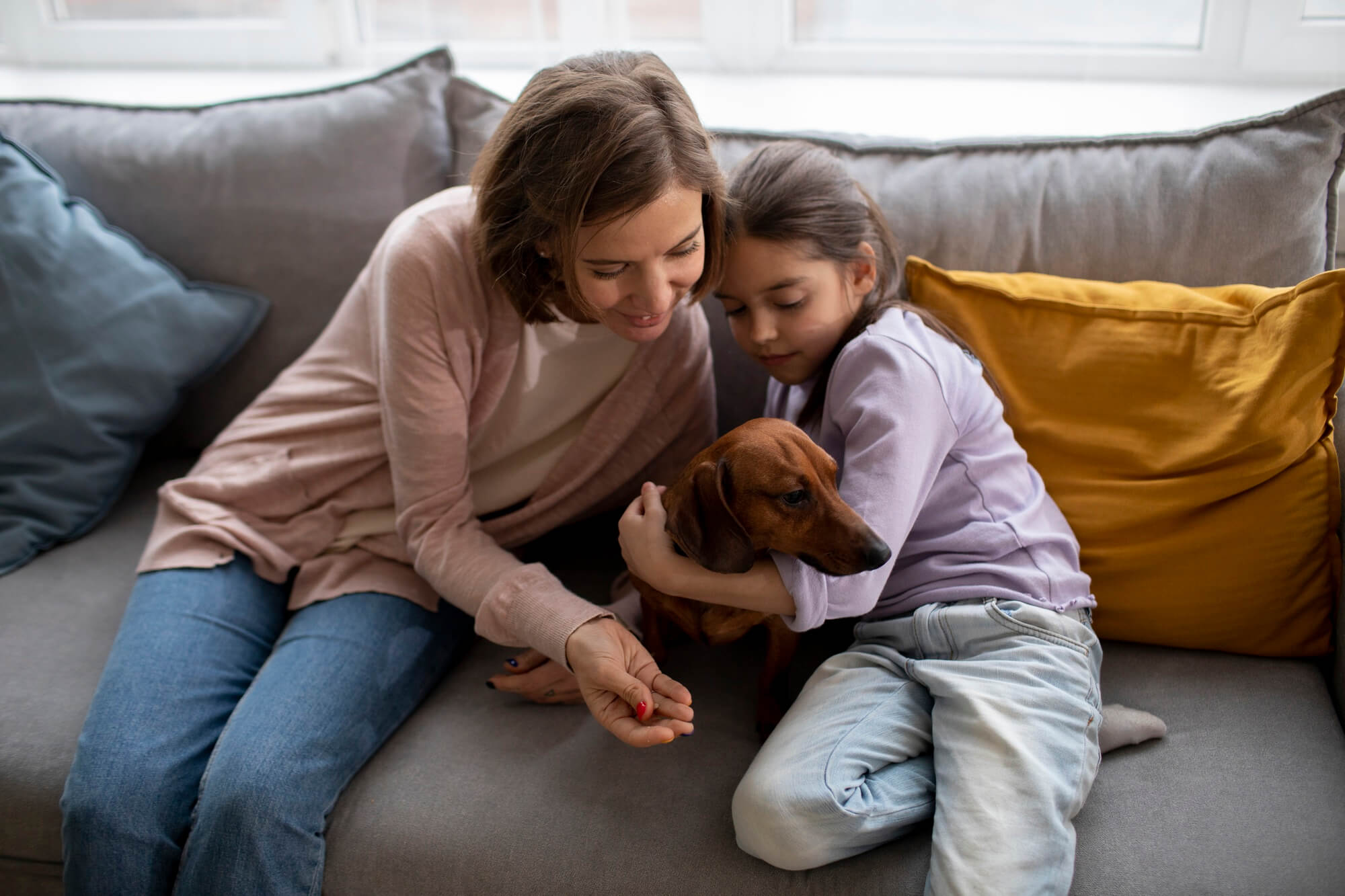 Emotional -Support -Animals-HOA