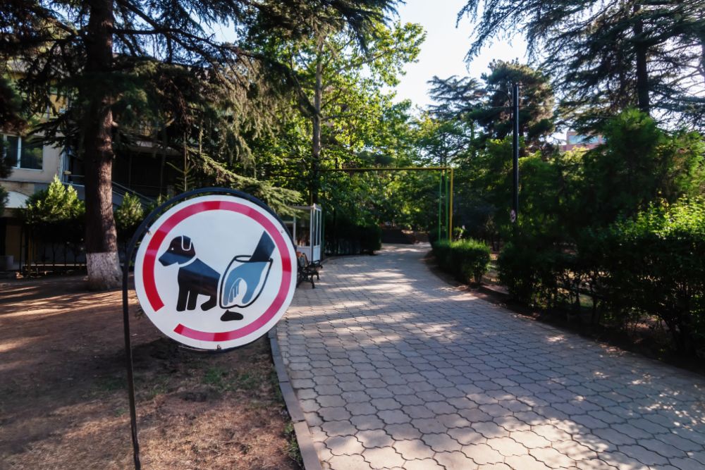 Common HOA pet rules: leash requirements, waste pickup, number limits, size limits, nuisance barking and common area limits