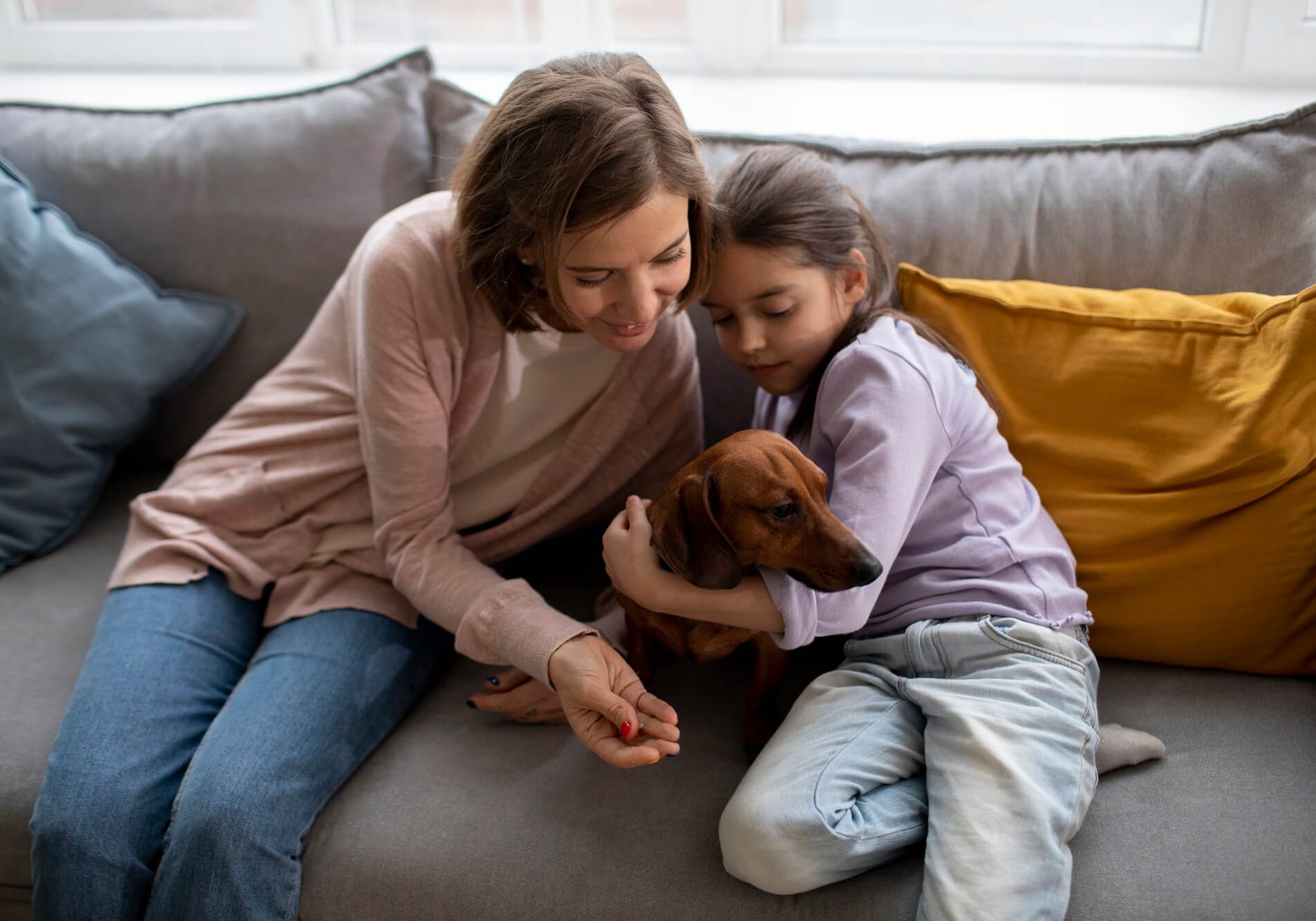 Emotional -Support -Animals-HOA