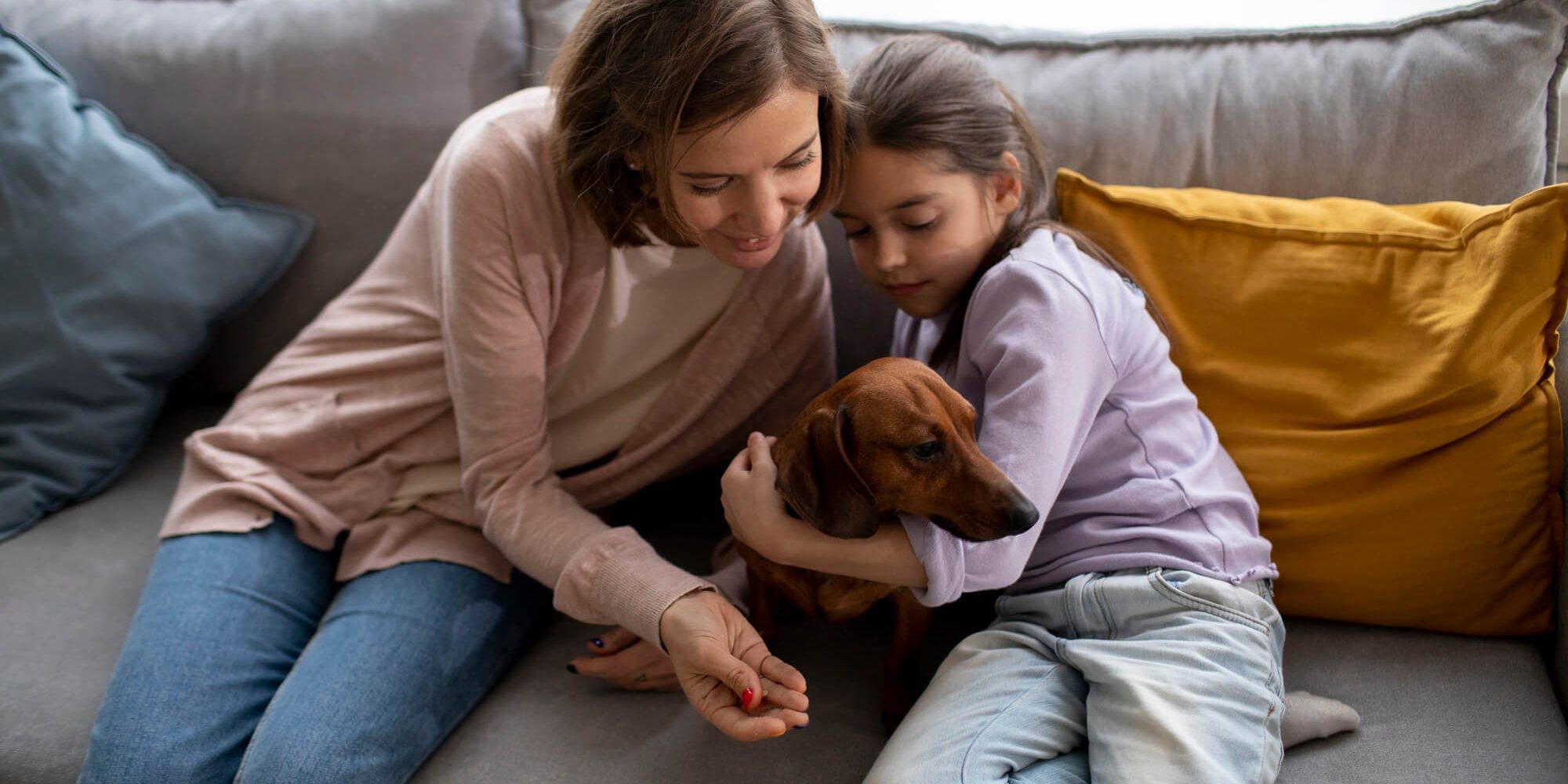 Emotional -Support -Animals-HOA Emotional -Support -Animals-HOA